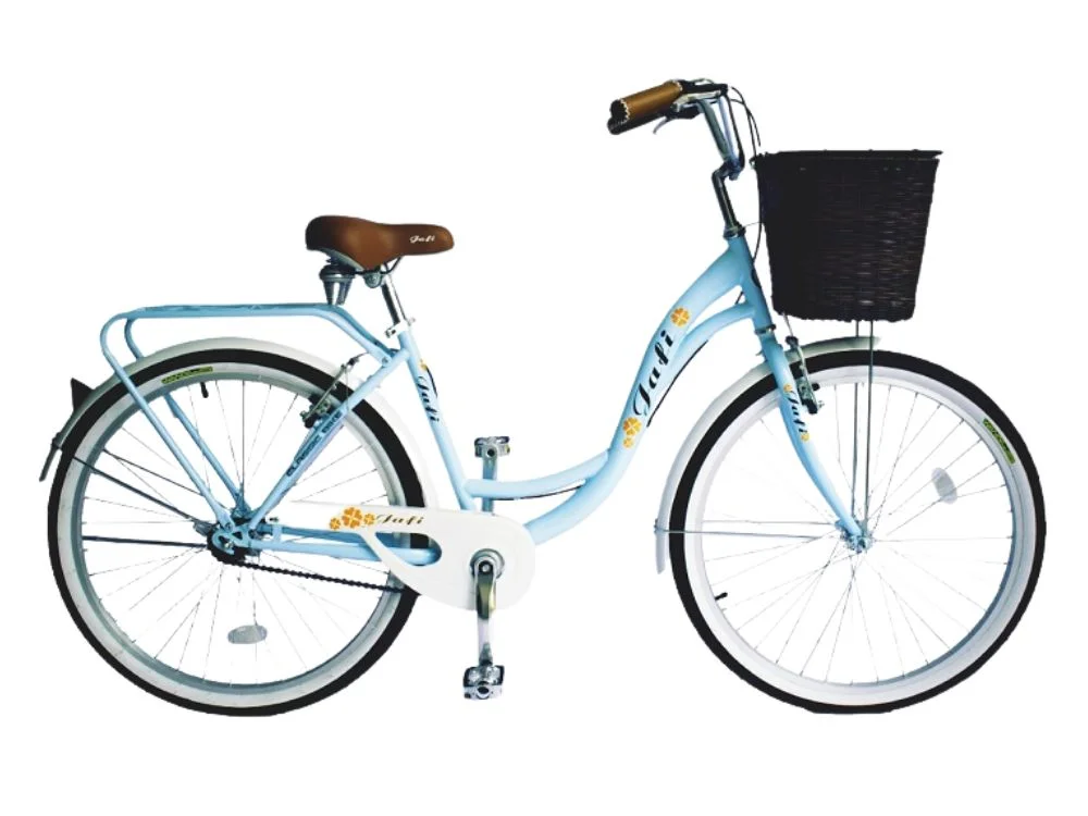 Bicicleta urbana para adulto y mujer, bici con marco de acero de