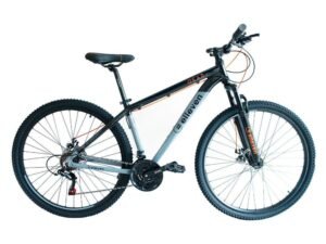bicicleta montañera aro 29 gris 2